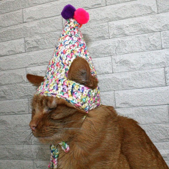 HAND CRAFTED Crochet Party Hat Costume Photo Prop Celebration Birthday - Picture 5 of 11